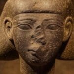 Following an international repatriation journey, the head of "Thutmose III's official" returns from the Netherlands to Luxor.