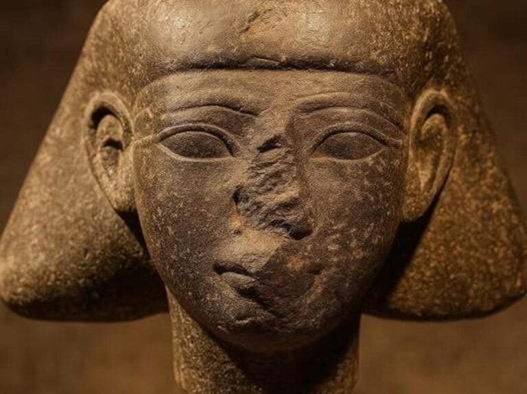 Following an international repatriation journey, the head of "Thutmose III's official" returns from the Netherlands to Luxor.