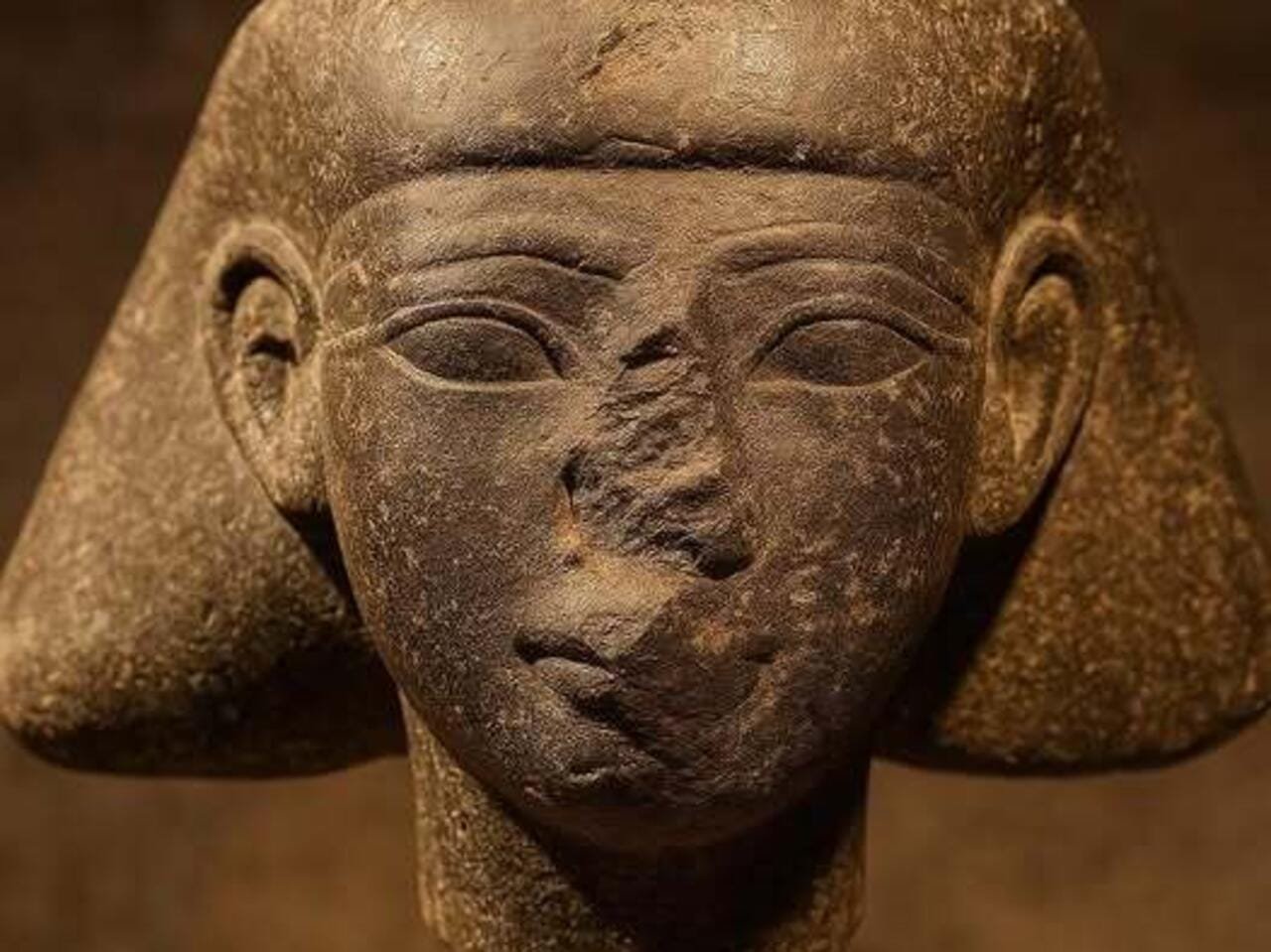 an international repatriation journey, the head of “Thutmose III’s official” returns from the Netherlands to Luxor.