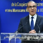 A phone call between the Egyptian Foreign Minister and the UAE Deputy Prime Minister and Foreign Minister