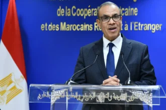 اتصال هاتفي بين وزير الخارجية المصري ونائب رئيس مجلس الوزراء ووزير خارجية الإمارات