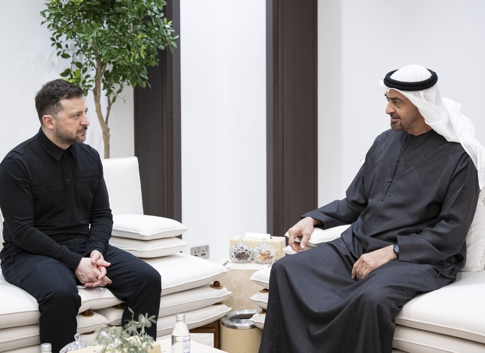 The President of the UAE and the Ukrainian President discuss cooperation relations and developments in the region