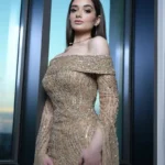 ملك زاهر تحتفل بخطبتها على الليثي في أجواء عائلية