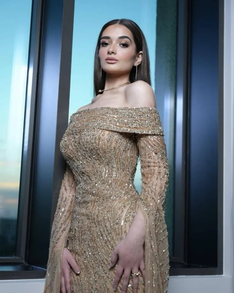 ملك زاهر تحتفل بخطبتها على الليثي في أجواء عائلية