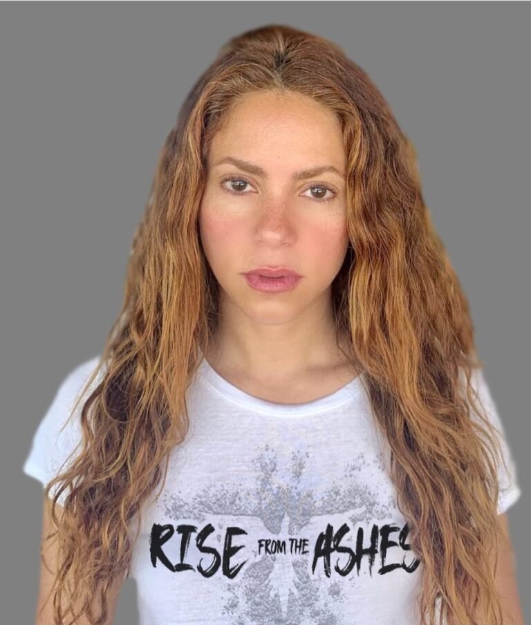 Shakira's concert in Cairo postponed to next November