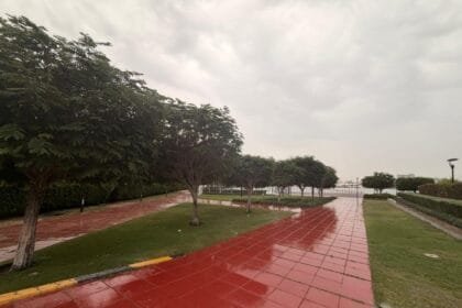 طقس الإمارات.. أمطار غزيرة ومتوسطة على مختلف مناطق الدولة