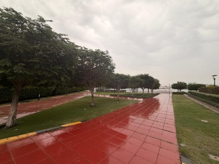 UAE weather.. Heavy and moderate rain in various regions of the country