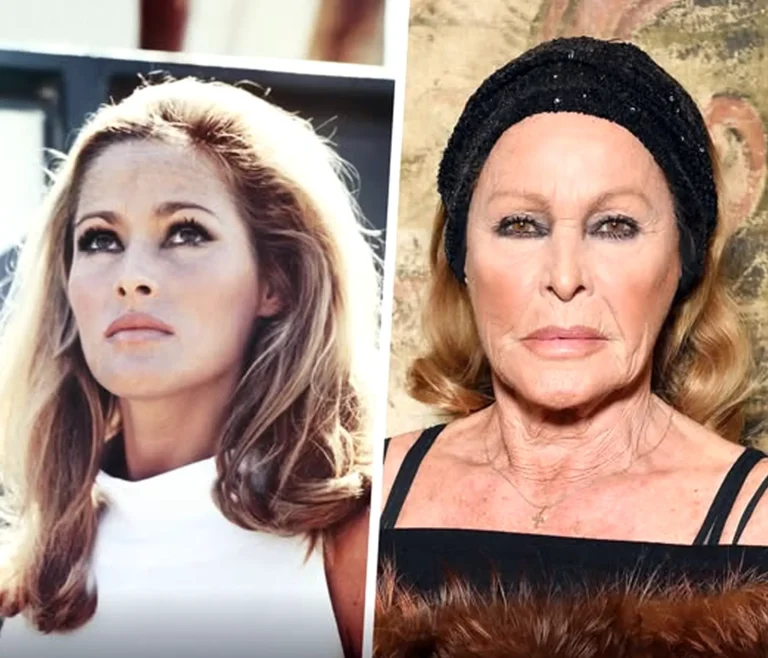 أورسولا أندريس-إيطاليا تحبط أكبر عملية سرقة لممثلة سويسرية بمصادرة 20 مليون يورو