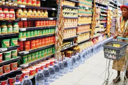 في 9 أشهر.. 326.1 مليار درهم التجارة غير النفطية بين الإمارات وأفريقيا