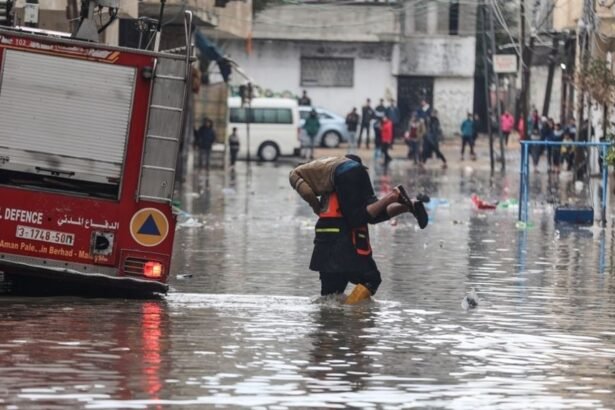 The humanitarian situation in the Gaza Strip