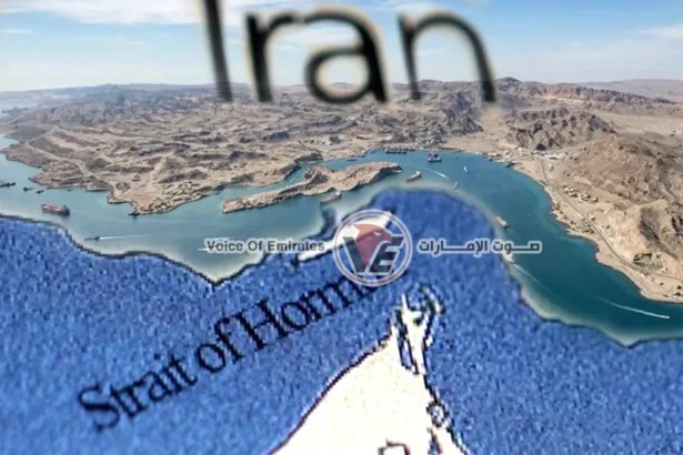 Bahrain and France submit draft resolutions to the Security Council concerning the security of the Strait of Hormuz