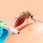 بعوضة الموت تهاجم أمريكا.. حمى تكسير العظام تخرج عن السيطرة وتثير الرعب