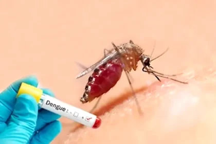 بعوضة الموت تهاجم أمريكا.. حمى تكسير العظام تخرج عن السيطرة وتثير الرعب