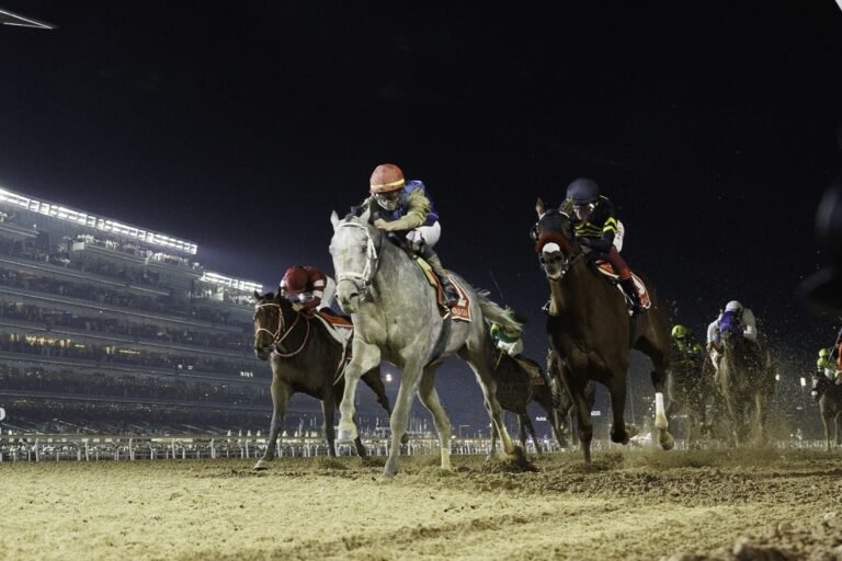 Saturday.. 100 horses compete in the 30th edition of the Dubai World Cup