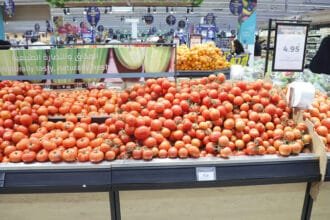 لدعم الأسواق بكميات إضافية من الخضراوات والفواكه.. موردون يكثفون "الشحن البري"