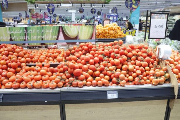 لدعم الأسواق بكميات إضافية من الخضراوات والفواكه.. موردون يكثفون "الشحن البري"