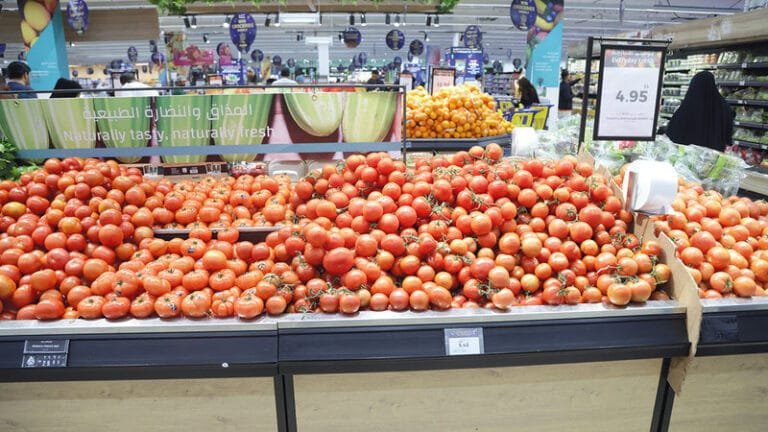 لدعم الأسواق بكميات إضافية من الخضراوات والفواكه.. موردون يكثفون "الشحن البري"