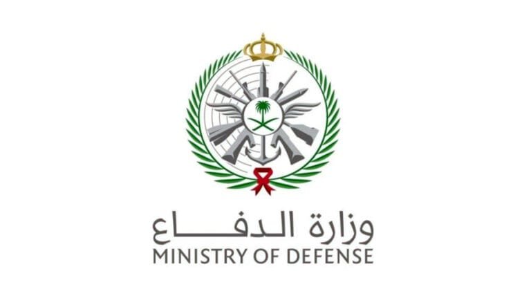 "درع السماء يتصدى".. اعتراض صاروخين كروز فوق الخرج دون خسائر