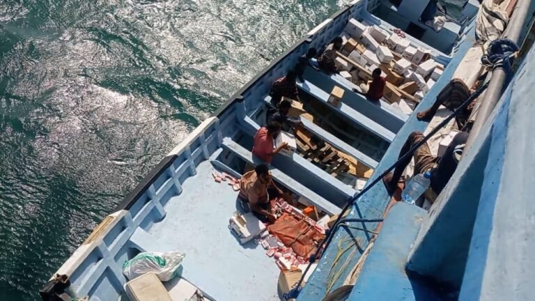 Southern Giants forces seize an Iranian smuggling vessel loaded with prohibited materials off Bab al-Mandab