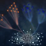 إنجاز علمي.. "نيويورك أبوظبي" تنجز دراسة بحثية حول الذكاء الاصطناعي وعلم فيزياء الجزيئات