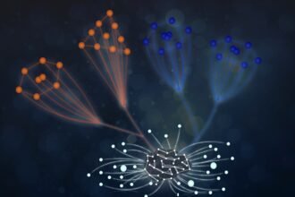 Scientific achievement.. New York Abu Dhabi completes a research study on artificial intelligence and molecular physics