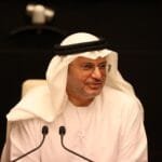 Gargash: Crises reveal true intentions