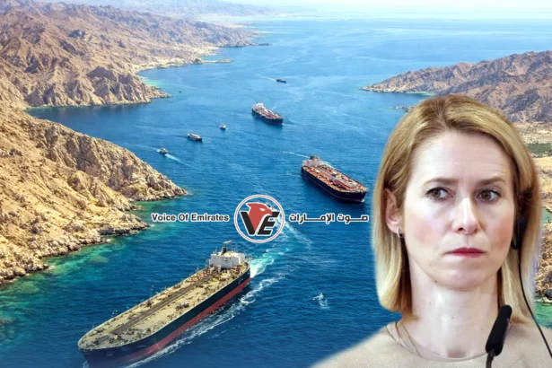 Kaya Kalas proposes a "Black Sea model" to secure the Strait of Hormuz amid the Iranian war