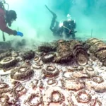 كنز غارق منذ ألفي عام.. سفينة تظهر من أعماق بحيرة سويسرية