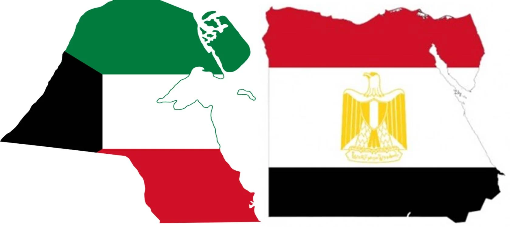 Egypt and Kuwait confront individual abuse and strengthen media cooperation between the two countries