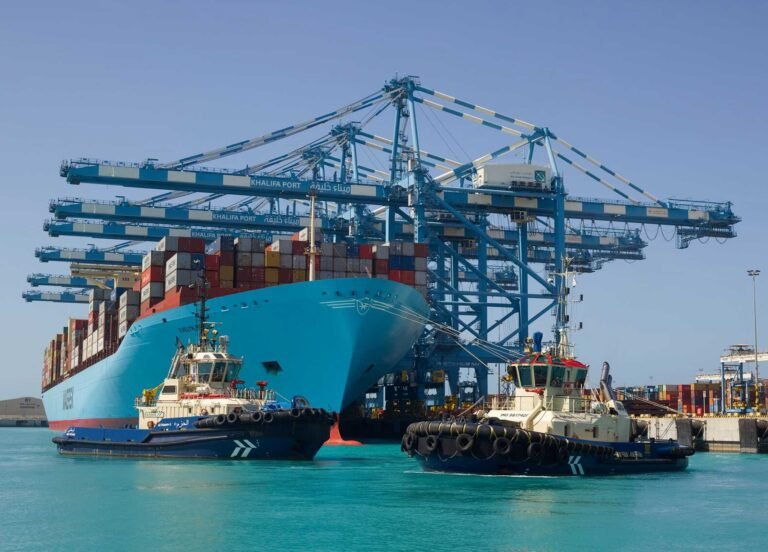 Record profits and revenues for Abu Dhabi Ports in 2025