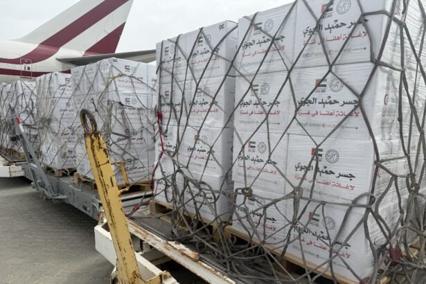 "الفارس الشهم 3" تواصل تسيير "جسر حميد الجوي" لإغاثة قطاع غزة بـ100 طن من المساعدات الغذائية