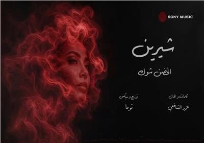 شرين عبدالوهاب تتصدر محركات البحث بـ"الحضن شوك "