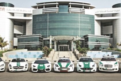 شرطة دبي تقود عملية دولية وتطيح بشبكة احتيال عابرة للحدود