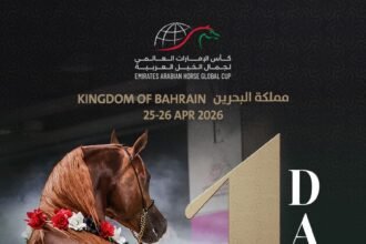 بمشاركة 106 خيول.. البحرين تستضيف الجولة الثانية لكأس الإمارات العالمي لجمال الخيل العربية