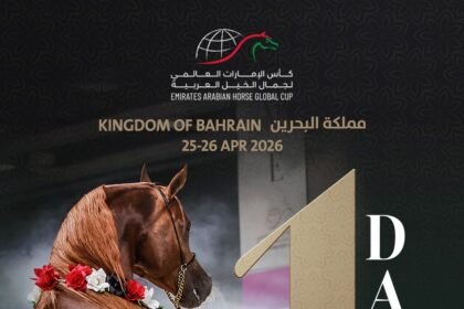 With the participation of 106 horses.. Bahrain hosts the second round of the UAE World Cup for Arabian Horse Beauty