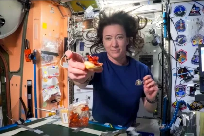 ناسا الطعام في الفضاء
