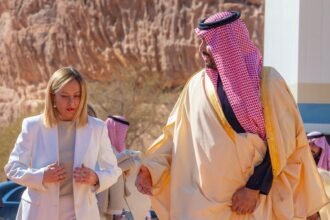 محمد بن سلمان ميلوني