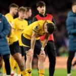 رسميًا.. وولفرهامبتون أول الهابطين إلى "تشامبيونشيب" من البريميرليج