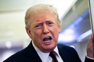 ترامب حلفاء أمريكا