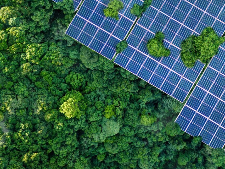 "أبوظبي الأول" يكشف خطة التحول إلى صافي الانبعاثات الصفري