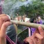 New York's "420" celebrations reflect a shift in cannabis culture and legal debates