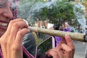 New York's "420" celebrations reflect a shift in cannabis culture and legal debates