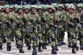 إحباط هجوم إرهابي في كادونا.. الجيش النيجيري ينجح في حماية قرية من مجزرة محتملة