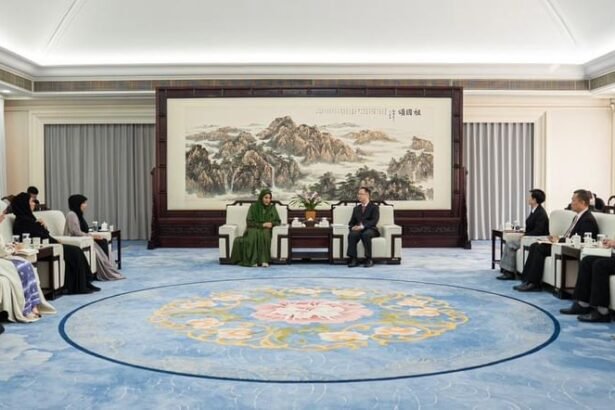 The Women's Union organizes the UAE-China Women Entrepreneurs Forum in Beijing