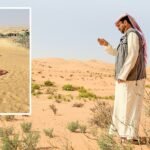 Expansions to "Abu Dhabi Environment" Expansions to the desert vegetation classification project