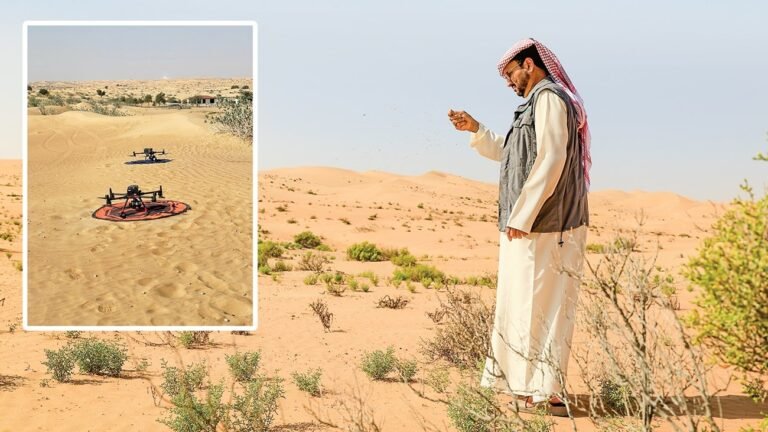 توسّعات لـ "بيئة أبوظبي" توسّعات في مشروع تصنيف الغطاء النباتي الصحراوي