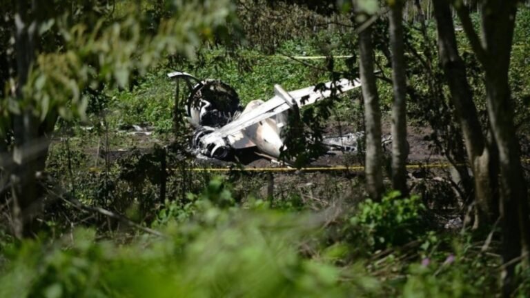 A small plane crashed, killing its pilot, minutes after takeoff in Germany
