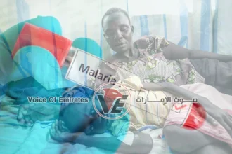 تصاعد مقلق في الإصابات.. زيمبابوي تسجل 65 ألف حالة ملاريا