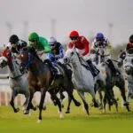 Abu Dhabi Track.. Elite horses compete in the final round of the Triple Crown