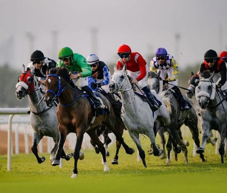 Abu Dhabi Track.. Elite horses compete in the final round of the Triple Crown